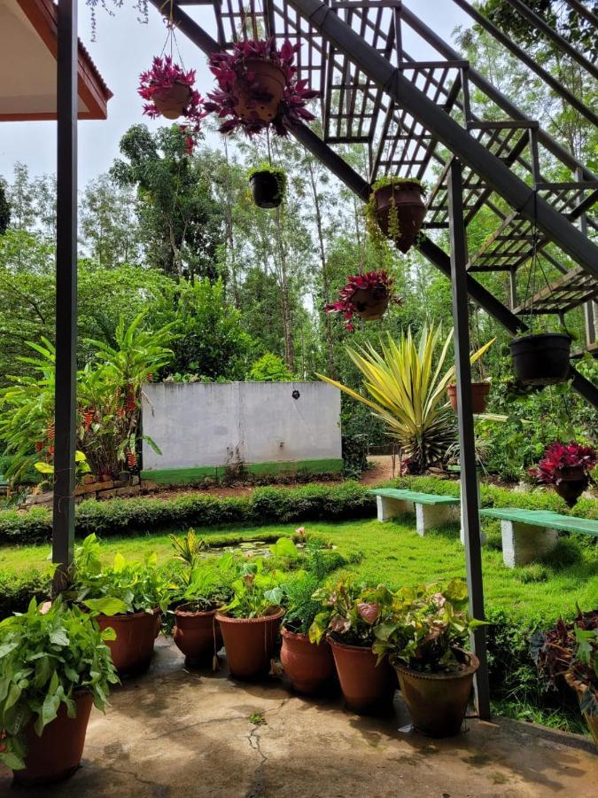 Bluebell Homestay Chikmagalūr Exteriér fotografie